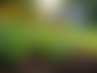 Smart Landscape Solutions for Ohio Homes