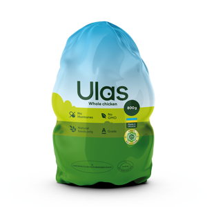 Projacts-Icon-Ulas.png