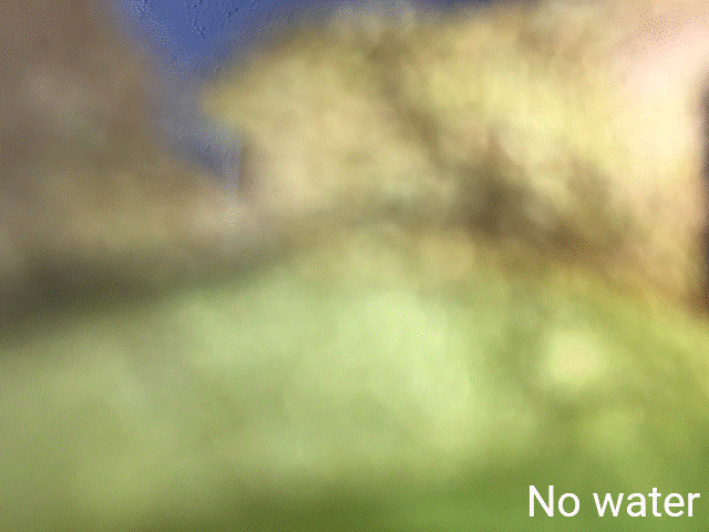 capture_animation.gif