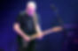 david-gilmour-black-strat.jpg