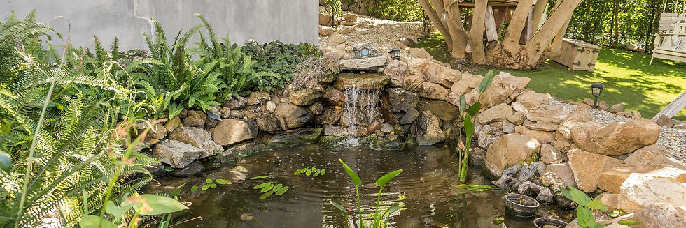 The real koi pond, waterfall and garden planting at Le Petit Chateau du Jardin