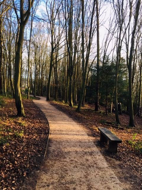 Hughenden Park Image