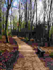 Hughenden Park Image