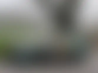 Rally de la Sidra 2026 🇦🇽: Victoria de Alberto Ordóñez que le convierte en el primer líder del Campeonato de Asturias de Rallyes