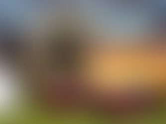 Skin RBR J.Solans – R.Sanjuan (Citroën C3 R5) – Rally Sierra Morena 2021