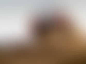 Entry List Royal Rally of Scandinavia 2024 (ERC) 🇸🇪 🇪🇺