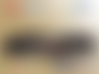 Skin RBR Zippo – Denis Piceno 🇮🇹 (Audi Quattro) – Historic Vltava Rallye 2021