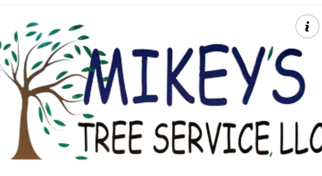 Writer: Mike Oliveira