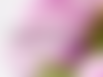 How To Choose Your Freelancing Niche