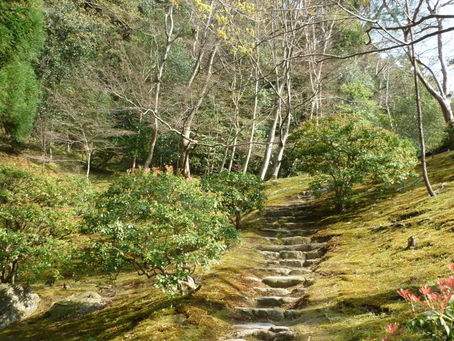 Le "do" des arts martiaux (Judo, Aikido...) se retrouve dans toute la culture japonaise