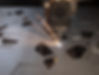 DSCF2711.jpg