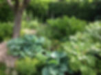 Woodland Planting.JPG