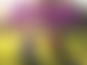Sunshine & Smiles: Our Community Egg Hunt Brings Spring Joy to Paris