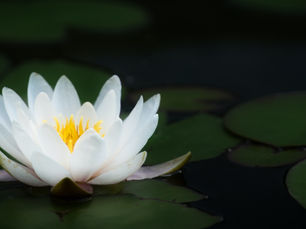 When Right Is Not Easy: Lessons on Courage, Character, and Clarity