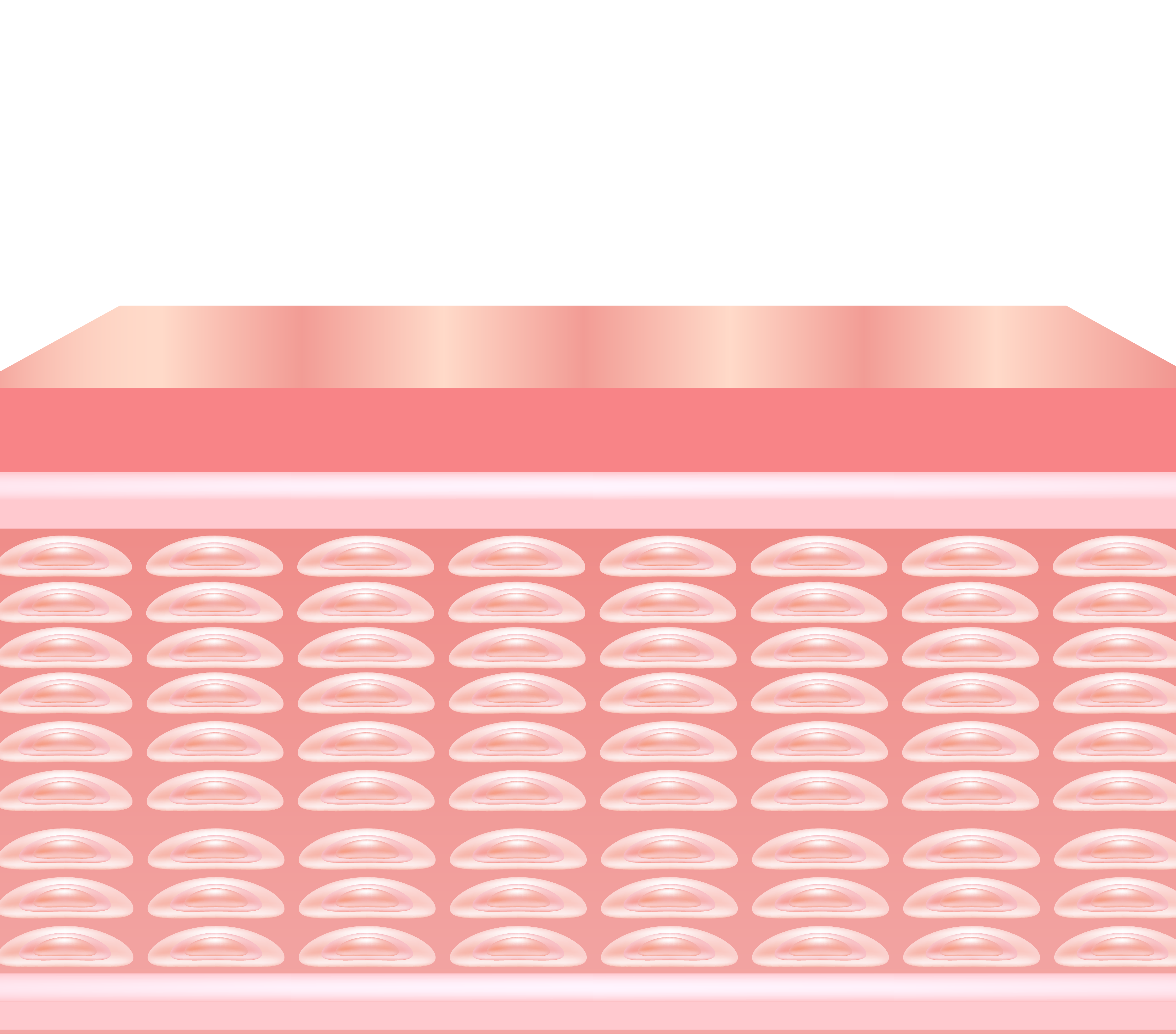 collagen replacement-03.png