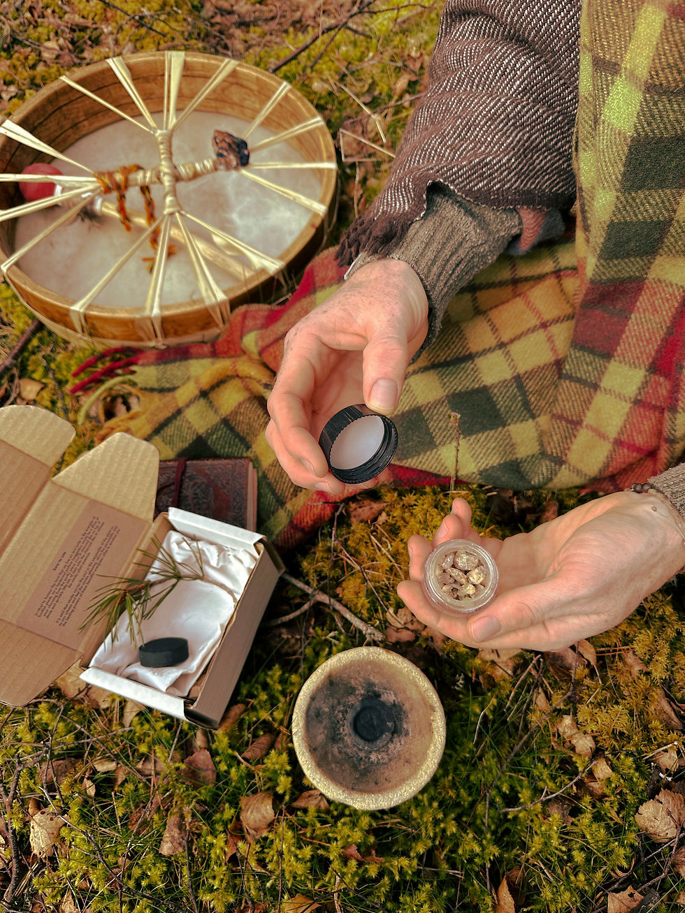 Thumbnail: Scottish pine & spruce :: incense resin - pure hand harvested
