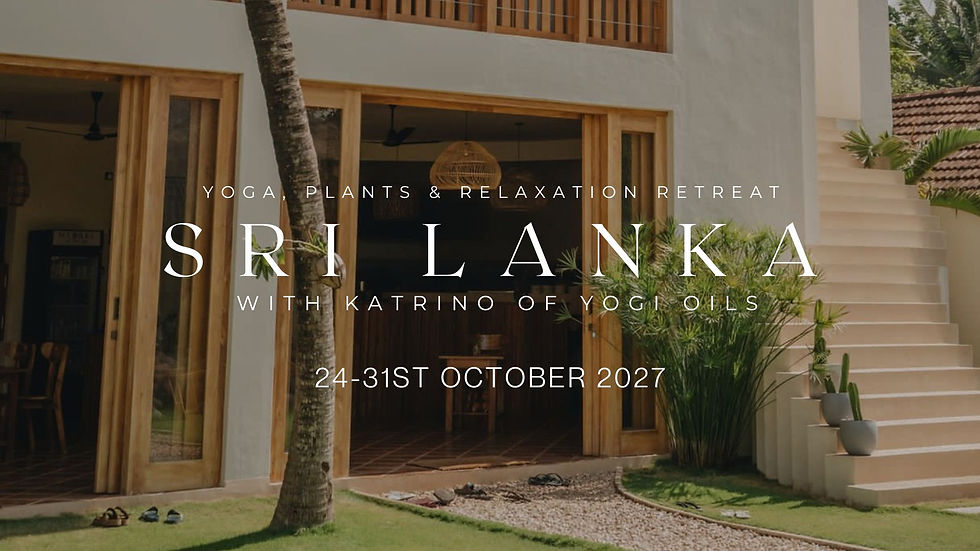 Sri Lanka Retreat October 2027