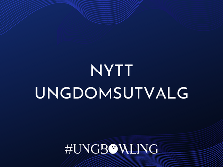 Et nytt Ungdomsutvalg et valgt
