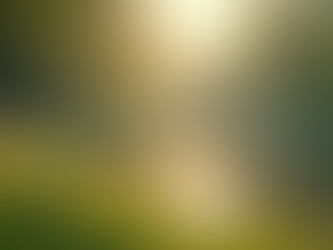 Understanding Acceptance and Commitment Therapy ACT for Personal Growth and Wellbeing