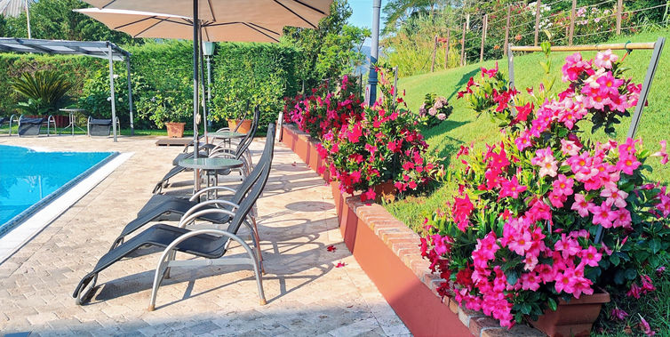 Piscina all'aperto con sedie a sdraio e vibranti fiori rosa in giardino.