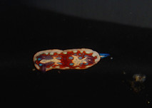 DSCN0309_edited.jpg