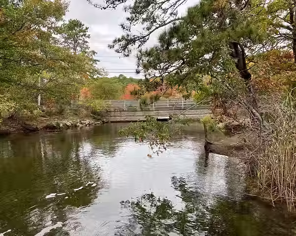 A bridge over a river during the fall