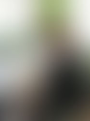 Journey of an Aesthete Logo Launch!