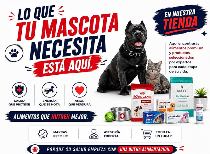 tienda jumon