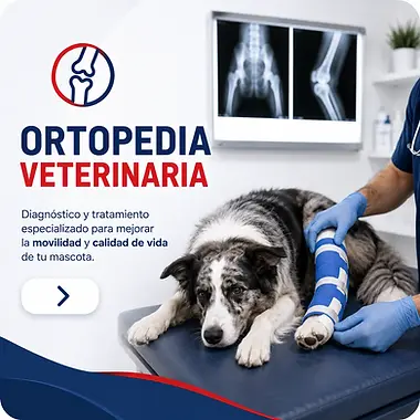 ortopedia_veterinaria