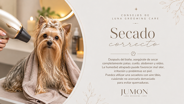 consejos de luna3