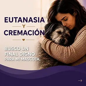 eutanasia_cremacion