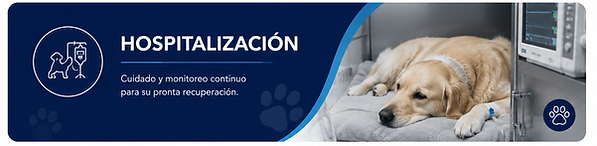 hospitalizacion