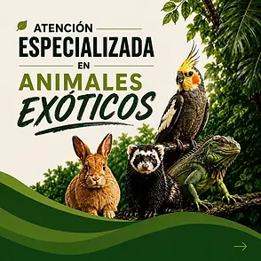 animales_exoticos