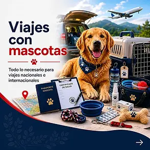 viajes_con_mascotas