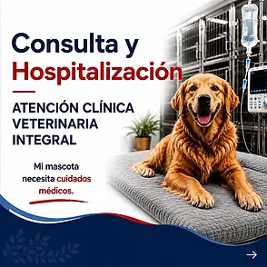 consulta_hospitalizacion