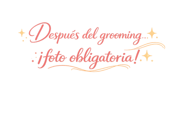 consejos jumon4