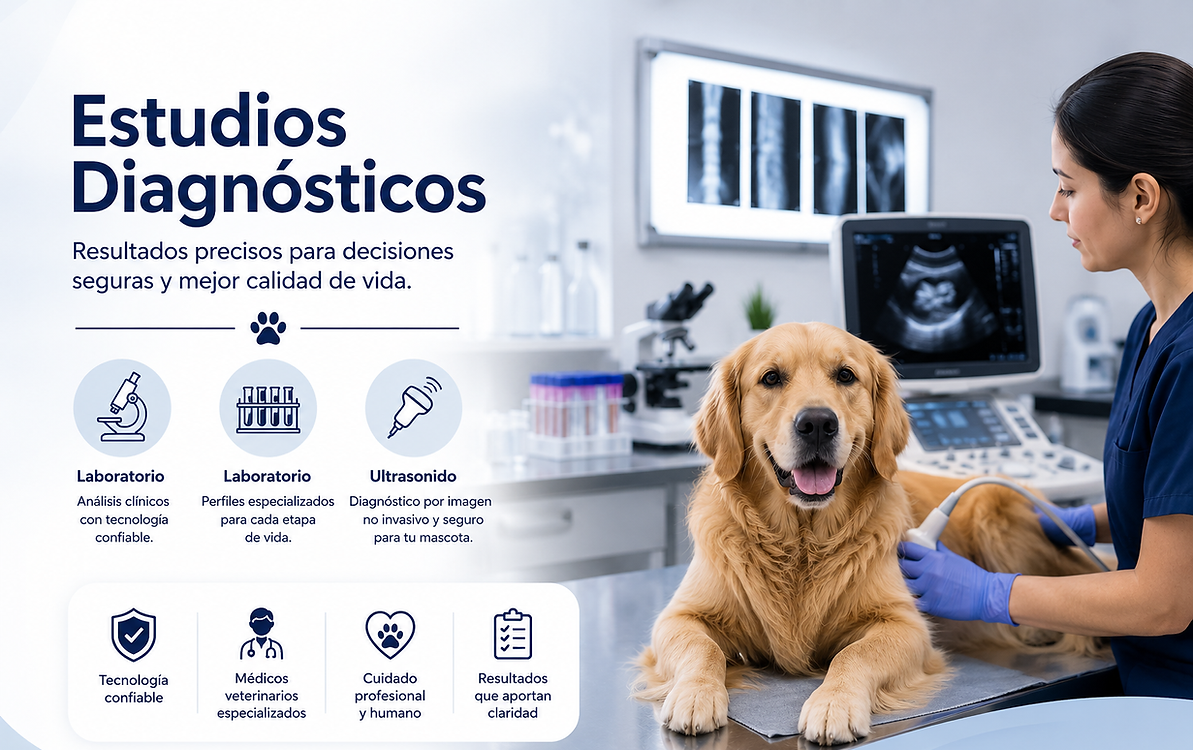 estudios jumon