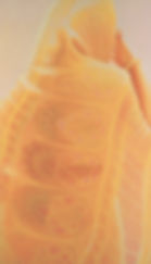 Veiled Presence #12