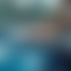 Naples' Best Mobile Car Detailing Services