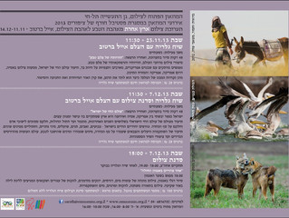 פסטיבל חורף של ציפורים במוזאון הפתוח לצילום, גן התעשיה תל חי