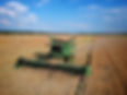DJI_0430-01-01.jpeg