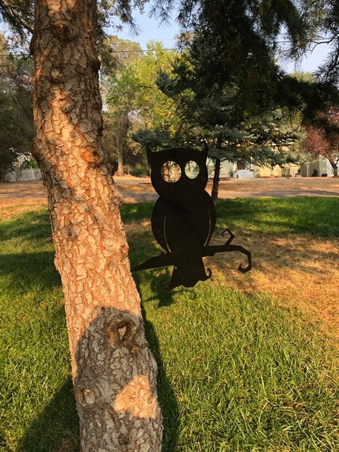 Thumbnail: Metal Owl on a Branch - Owl Metal - Metal Owl Tree Decor - Rustic Outdoor Home D