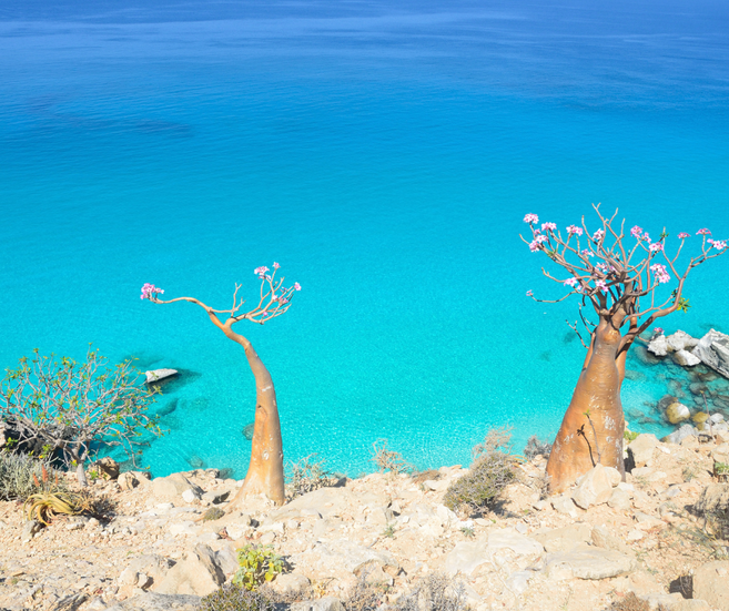 eau limpide Socotra au Yémen
