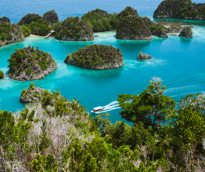 îlots d'iles à Raja Ampat en Indonésie