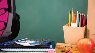 New Report on NYC Elementary Schools
