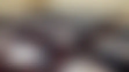 Focus On Fairness Brief