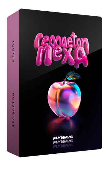 BOX - REGGAETON MEXA (REGGAETON MELODY).png