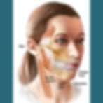 MOJO Health Appliance for TMJ Symptoms
