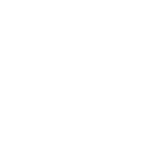 Medical Support icon