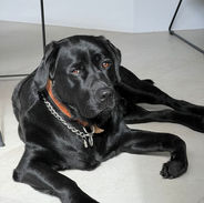 thumbnail_IMG-20220928-WA0004.jpg